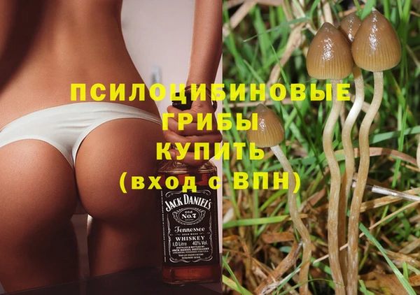 ПСИЛОЦИБИНОВЫЕ ГРИБЫ Богданович
