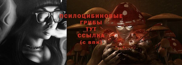 хмурый Богородицк