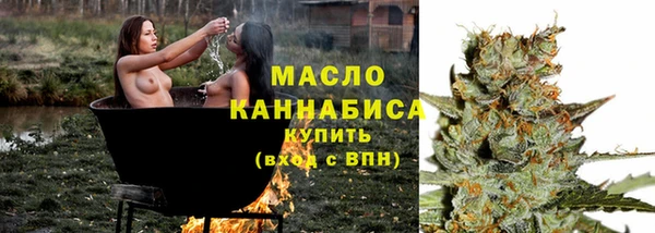 хмурый Богородицк