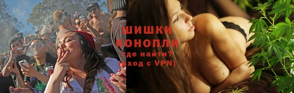 ПСИЛОЦИБИНОВЫЕ ГРИБЫ Богданович