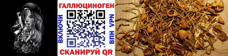 Псилоцибиновые грибы ЛСД  наркота  Реж 