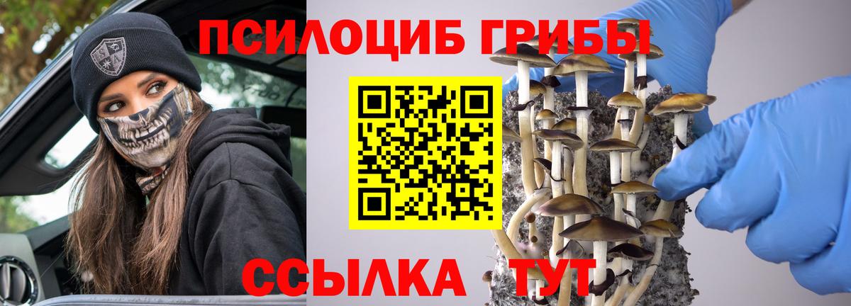 Галлюциногенные грибы Cubensis  Вход с VPN  Галлюциногенные грибы ЛСД  Реж 